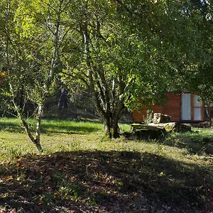 Agricampeggio Madonna Di Pogi Campeggio